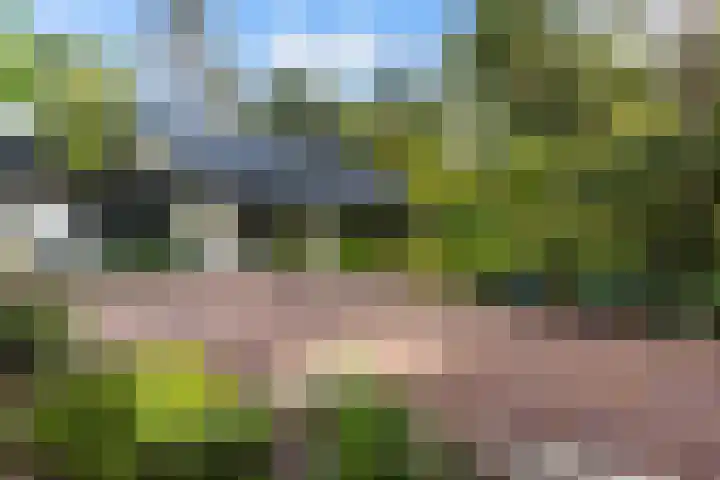 Sparrenlaan 26 Epe thumbnail 66