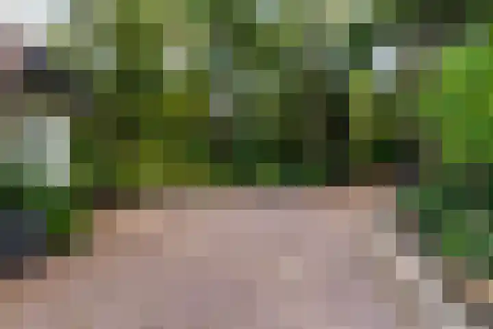 Sparrenlaan 26 Epe thumbnail 67