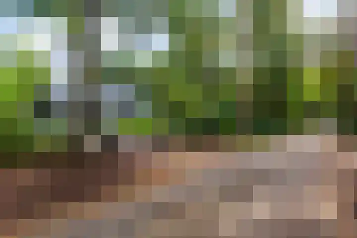 Sparrenlaan 26 Epe thumbnail 68