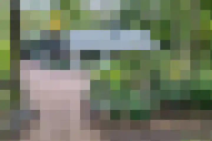 Sparrenlaan 26 Epe thumbnail 69