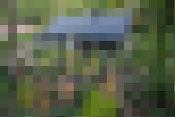 Sparrenlaan 26 Epe thumbnail 70