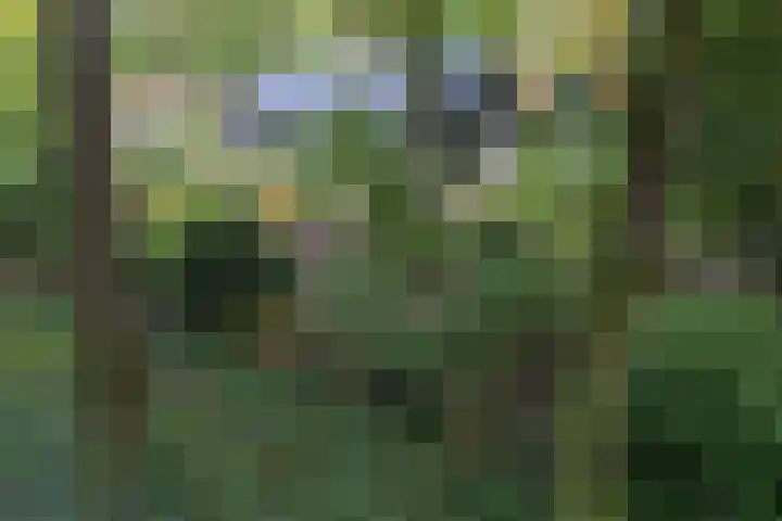 Sparrenlaan 26 Epe thumbnail 71