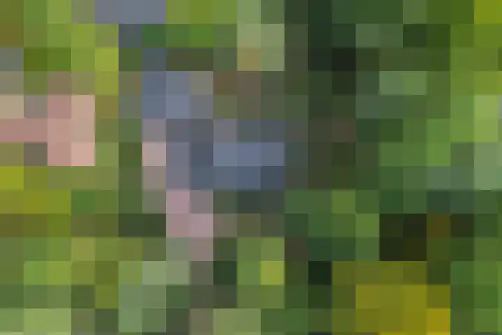 Sparrenlaan 26 Epe thumbnail 72