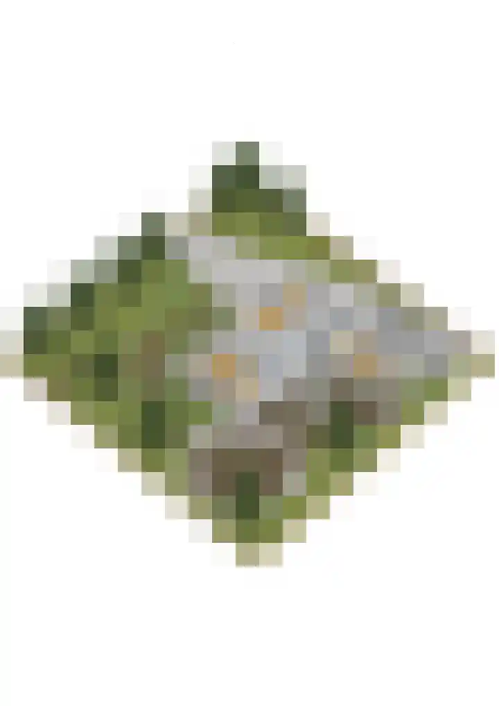 Sparrenlaan 26 Epe thumbnail 78