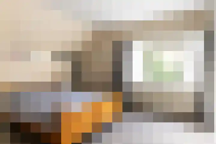 Sparrenlaan 27 Apeldoorn thumbnail 23