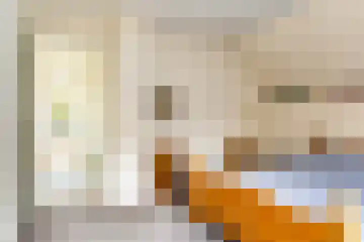 Sparrenlaan 27 Apeldoorn thumbnail 24