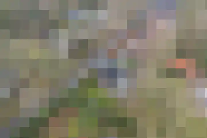 Sparrenlaan 27 Apeldoorn thumbnail 31