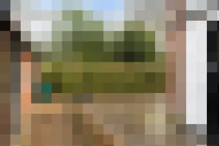 Sparrenlaan 27 Apeldoorn thumbnail 33