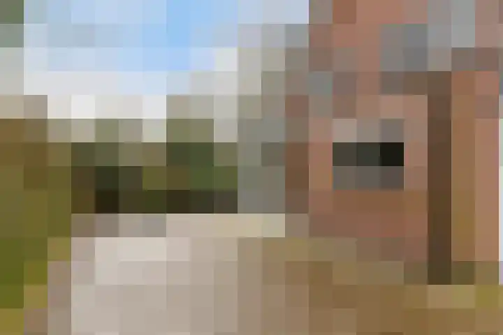Sparrenlaan 27 Apeldoorn thumbnail 34