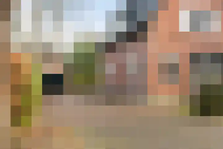 Sparrenlaan 27 Apeldoorn thumbnail 35