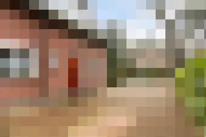 Sparrenlaan 27 Apeldoorn thumbnail 36