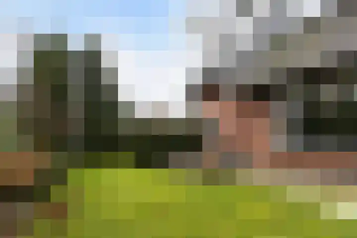 Sparrenlaan 27 Apeldoorn thumbnail 37