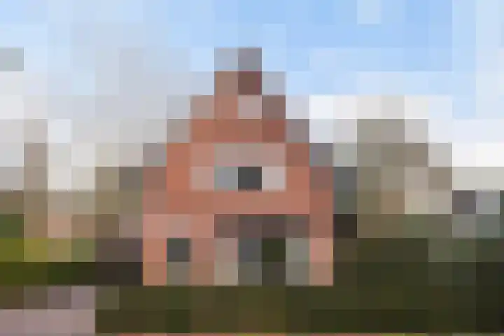 Sparrenlaan 27 Apeldoorn thumbnail 38