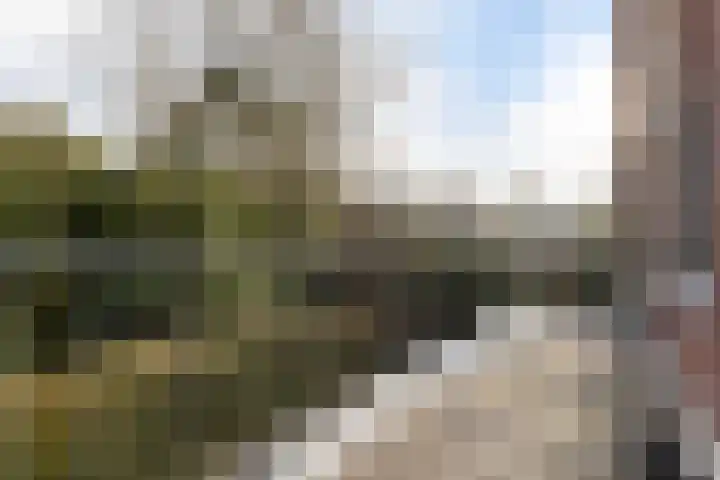 Sparrenlaan 27 Apeldoorn thumbnail 39
