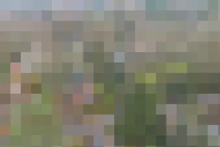 Sparrenlaan 27 Apeldoorn thumbnail 4