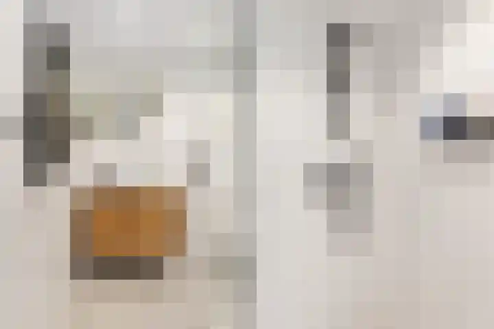 Sparrenlaan 27 Nijkerk thumbnail 29