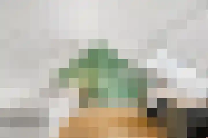 Sparrenlaan 27 Nijkerk thumbnail 30
