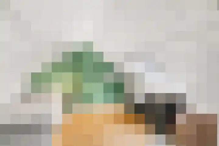 Sparrenlaan 27 Nijkerk thumbnail 31