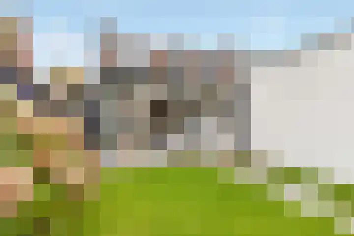 Sparrenlaan 27 Nijkerk thumbnail 33