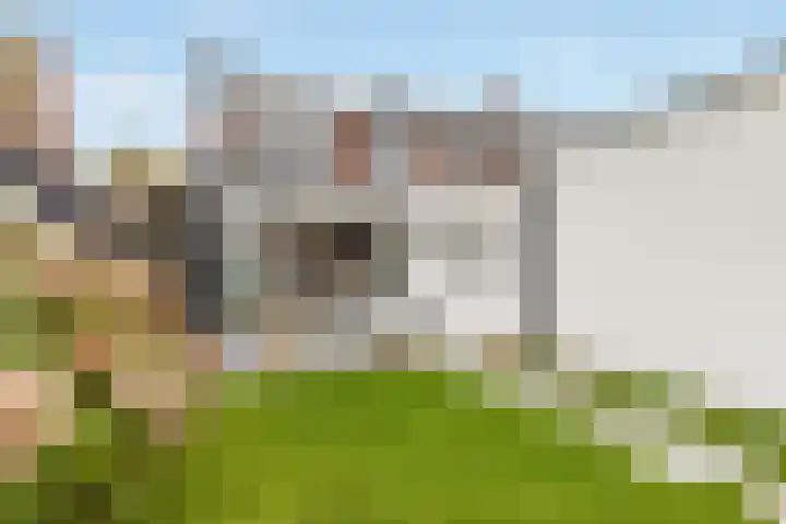Sparrenlaan 27 Nijkerk thumbnail 34