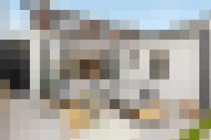 Sparrenlaan 27 Nijkerk thumbnail 36