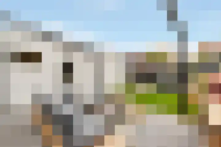 Sparrenlaan 27 Nijkerk thumbnail 37