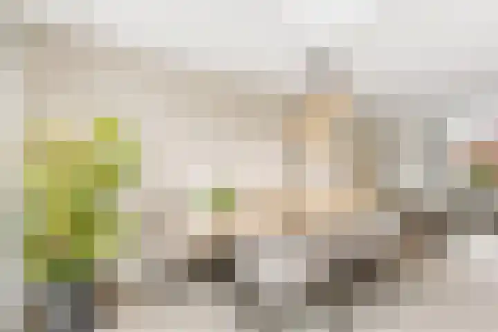 Sparrenlaan 27 Nijkerk thumbnail 8