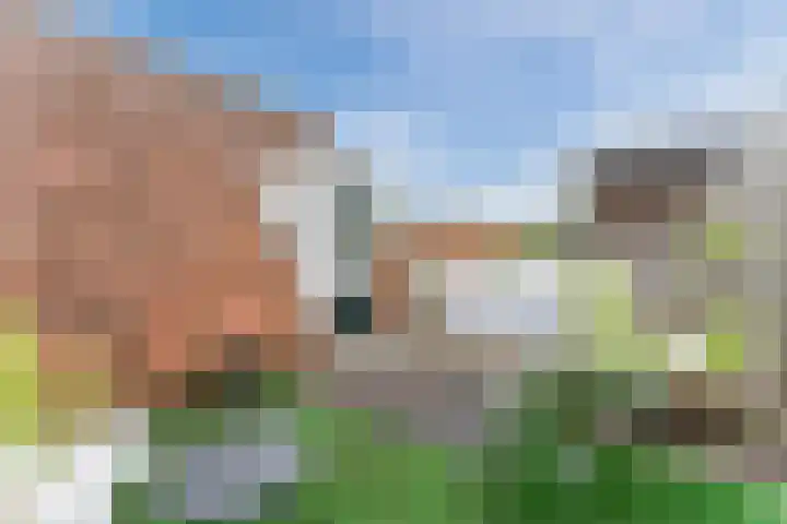 Sparrenlaan 28 Baarn thumbnail 22