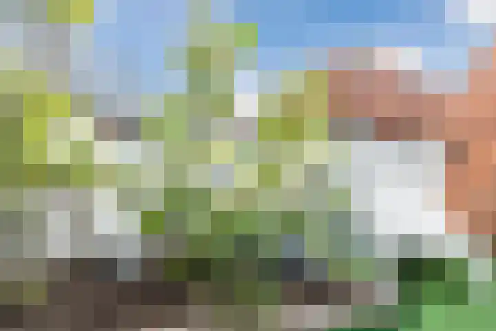 Sparrenlaan 28 Baarn thumbnail 23