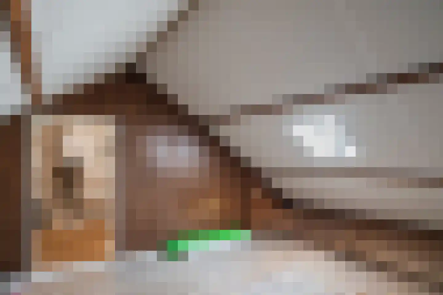 Sparrenlaan 29 Nijkerk thumbnail 24