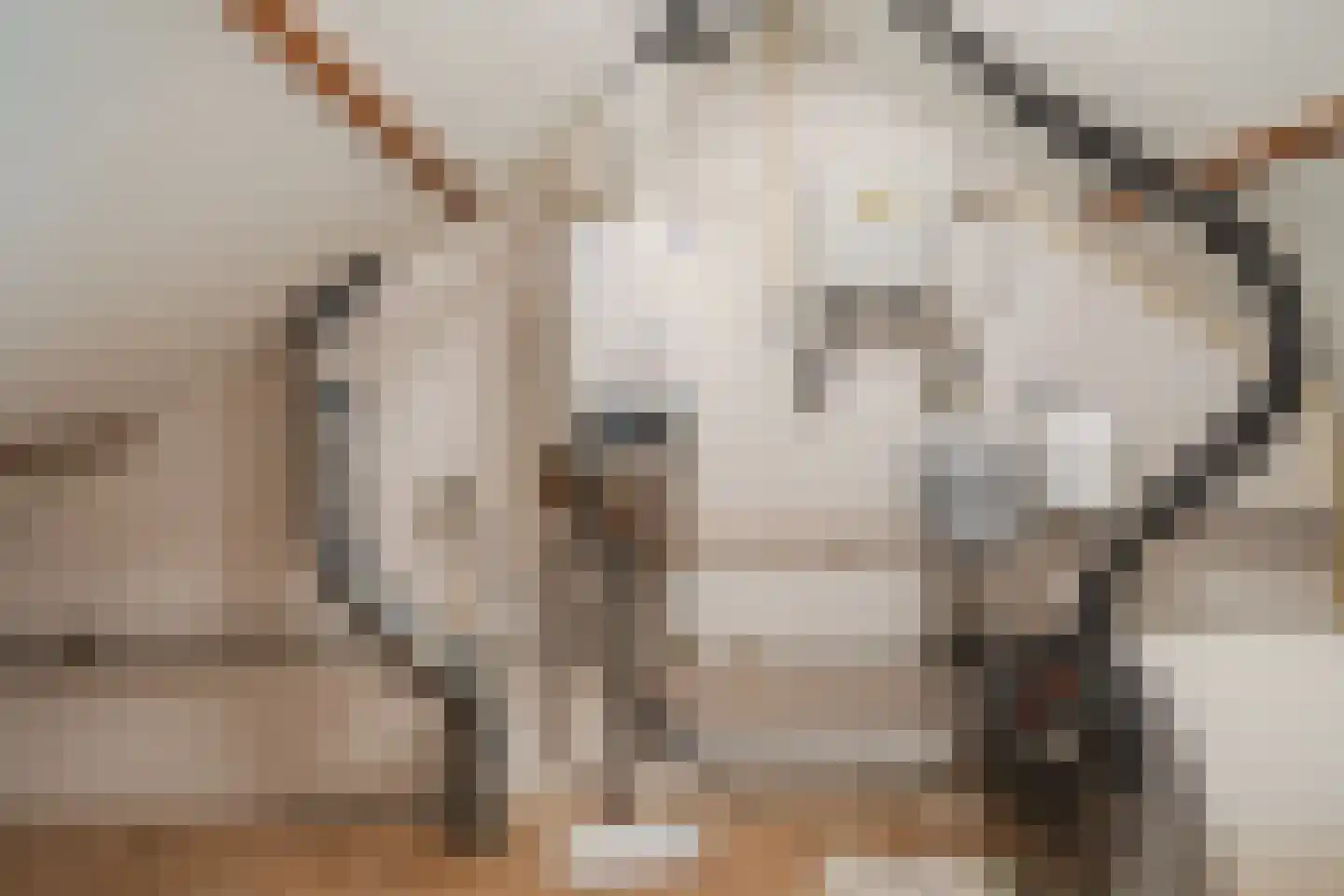Sparrenlaan 29 Nijkerk thumbnail 26