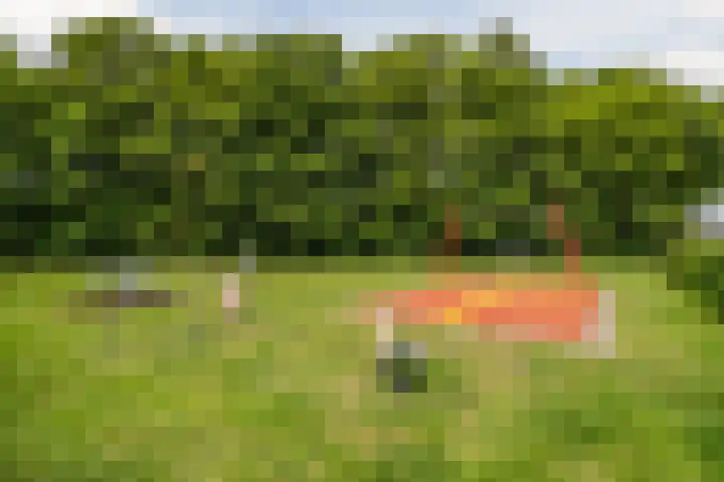 Sparrenlaan 29 Nijkerk thumbnail 34
