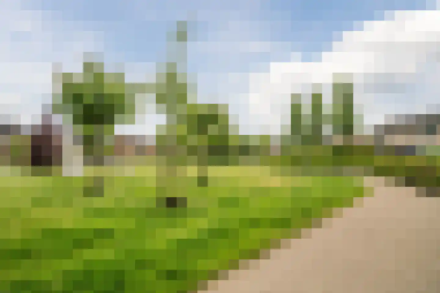 Sparrenlaan 29 Nijkerk thumbnail 35