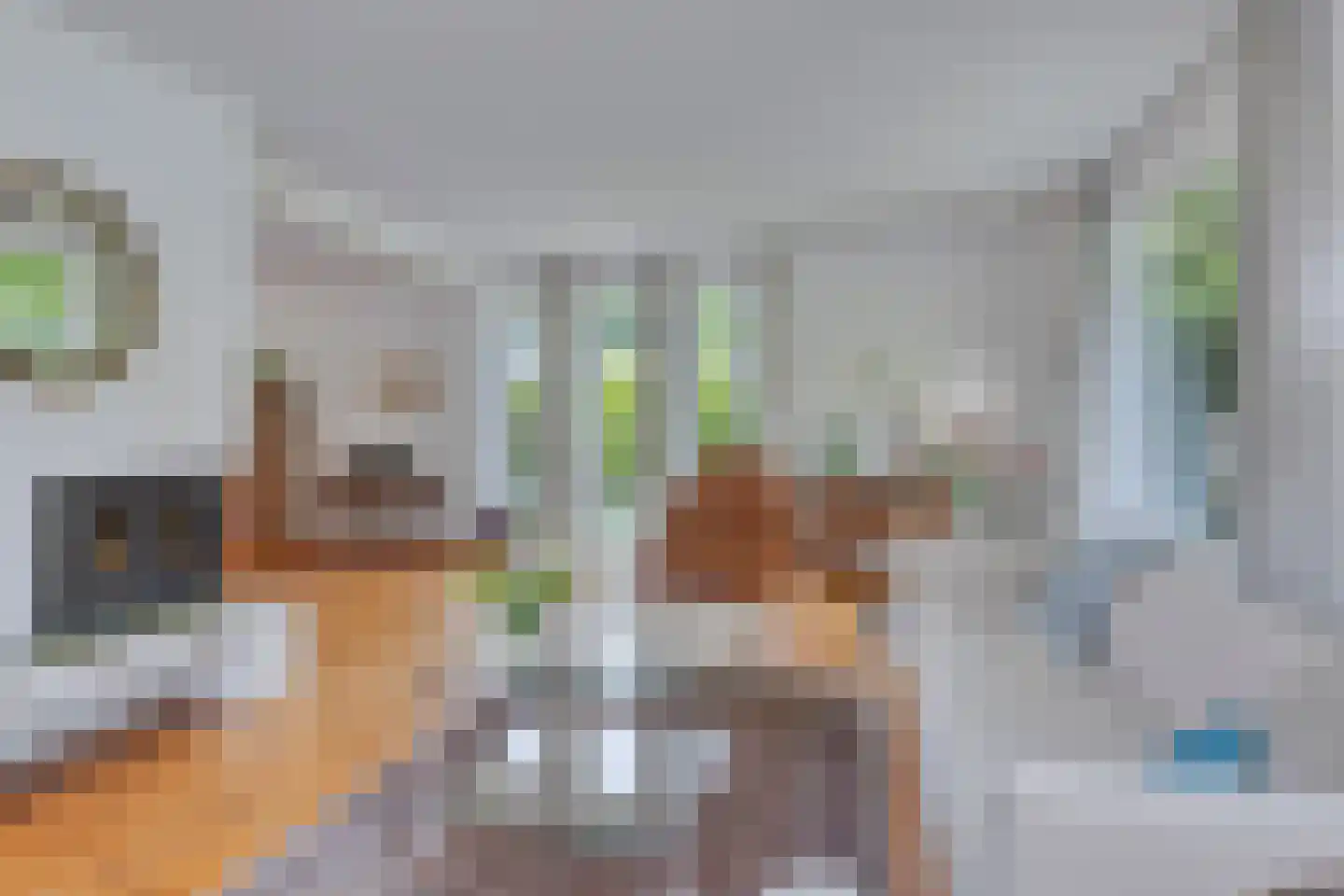 Sparrenlaan 3 Assen thumbnail 12