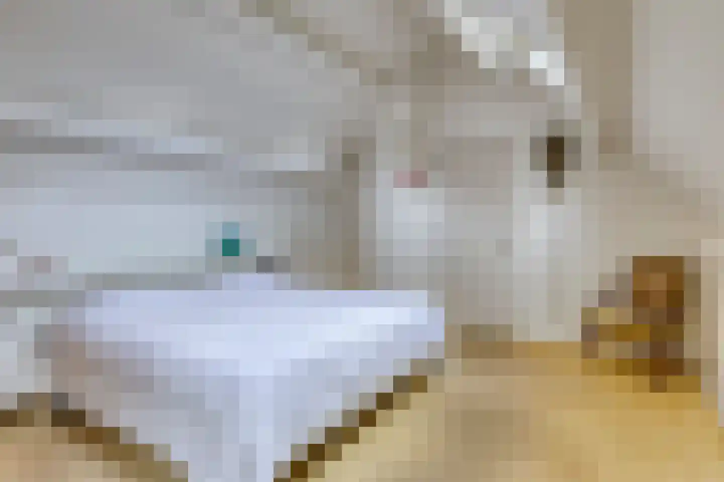 Sparrenlaan 3 Assen thumbnail 26