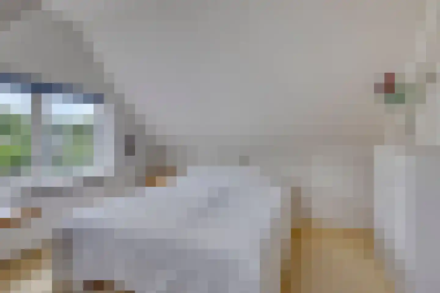 Sparrenlaan 3 Assen thumbnail 28
