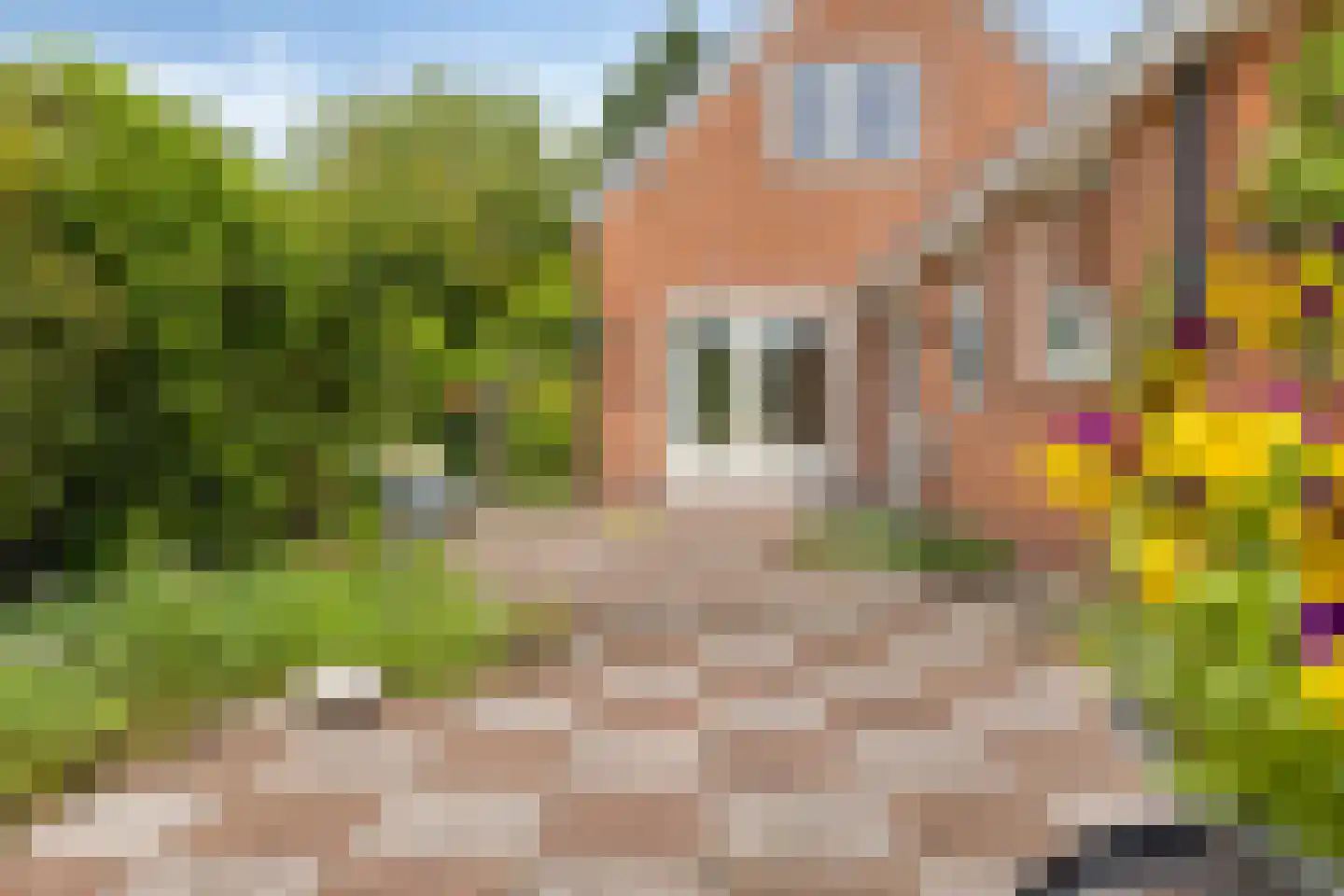 Sparrenlaan 3 Assen thumbnail 34