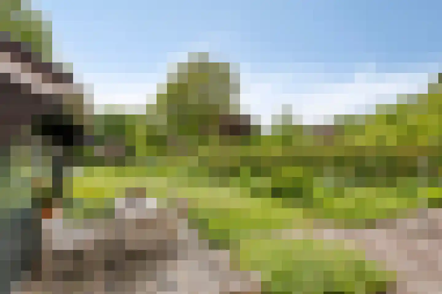 Sparrenlaan 3 Assen thumbnail 37