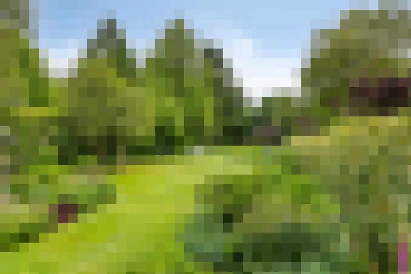 Sparrenlaan 3 Assen thumbnail 38