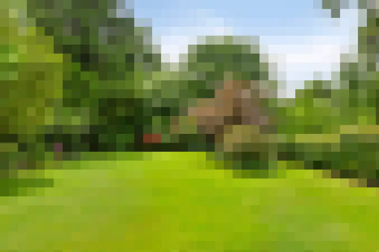 Sparrenlaan 3 Assen thumbnail 39