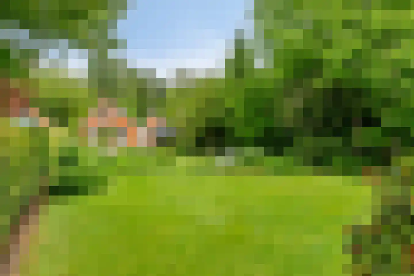 Sparrenlaan 3 Assen thumbnail 4