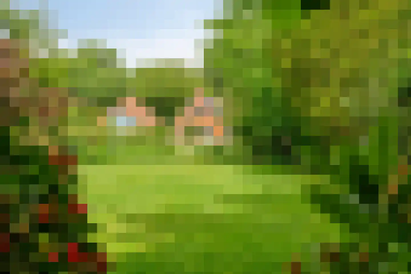 Sparrenlaan 3 Assen thumbnail 41