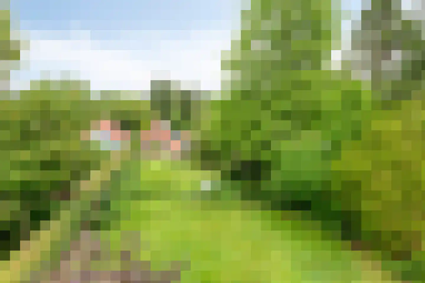 Sparrenlaan 3 Assen thumbnail 42