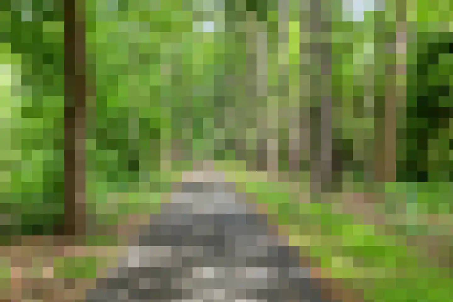 Sparrenlaan 3 Assen thumbnail 43