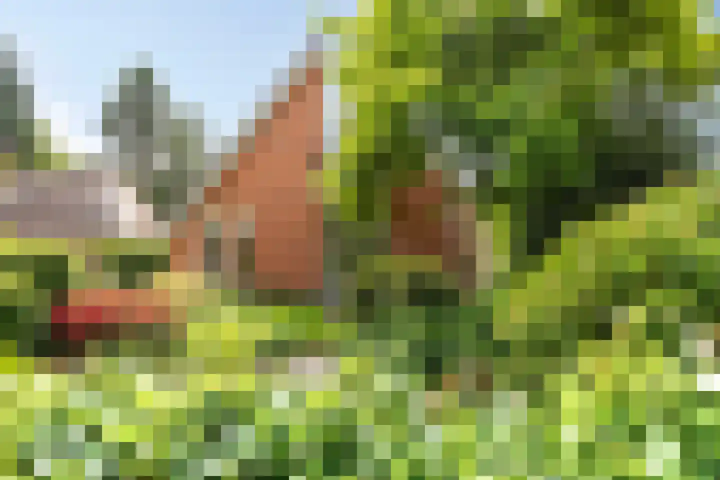 Sparrenlaan 3 Assen thumbnail 5