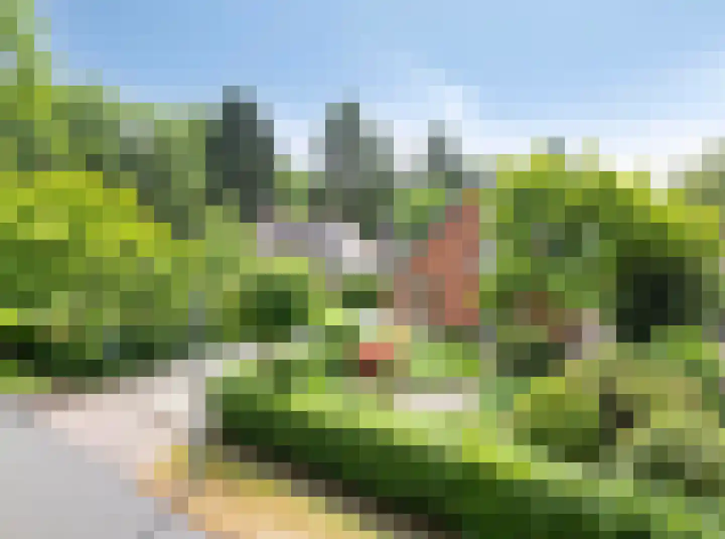 Sparrenlaan 3 Assen thumbnail 6