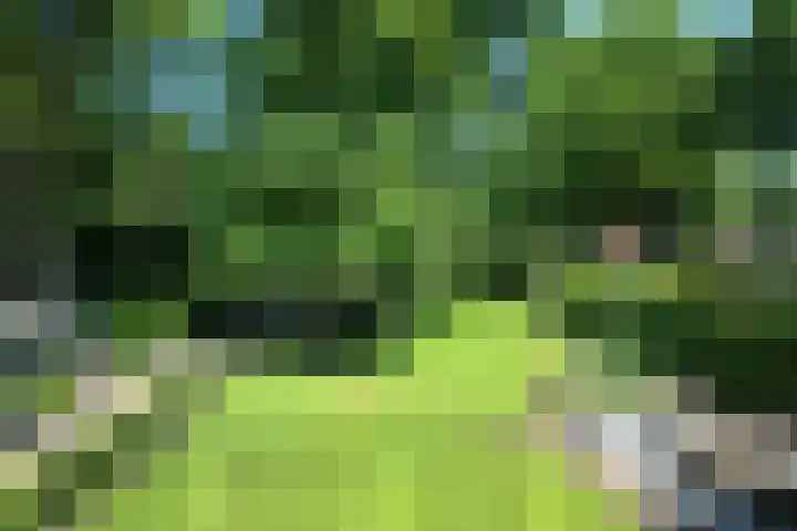 Sparrenlaan 3 Hilversum thumbnail 34