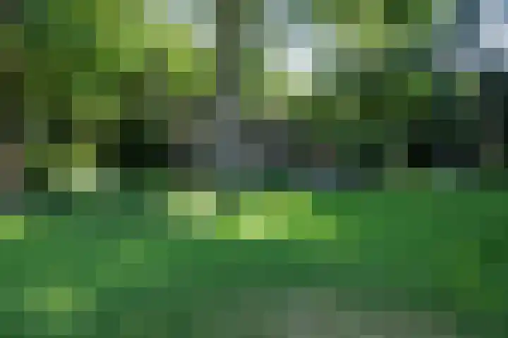 Sparrenlaan 3 Hilversum thumbnail 47