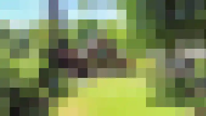 Sparrenlaan 3 Hilversum thumbnail 48