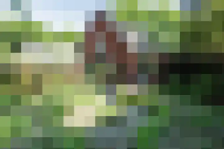 Sparrenlaan 3 Hilversum thumbnail 6